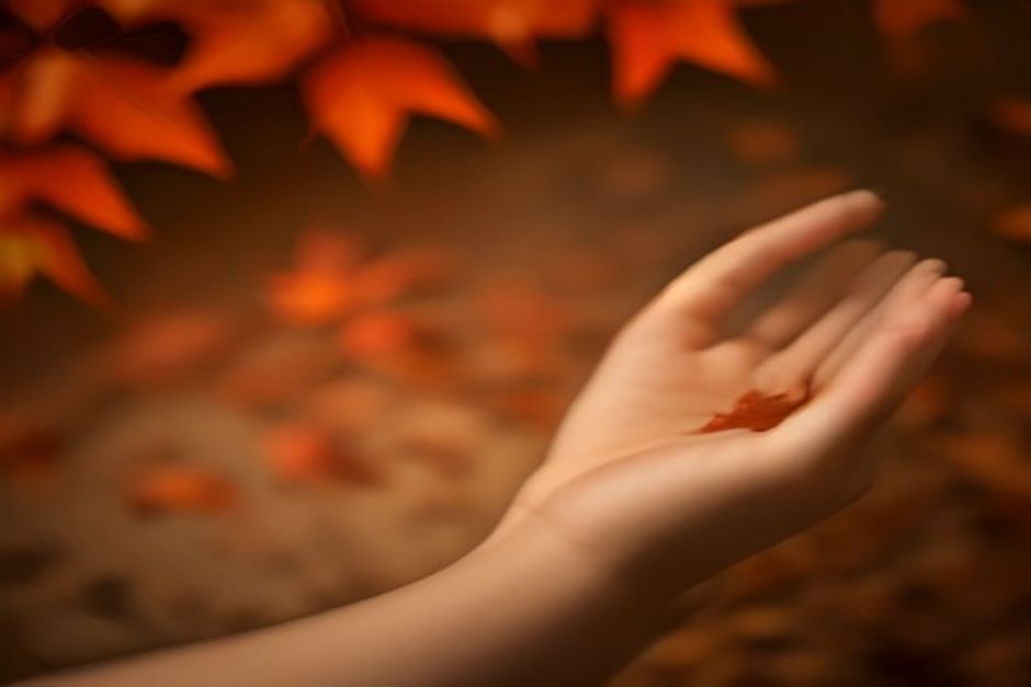 Open hand releasing dry leaves in warm evening light, minimalist earth-toned scene